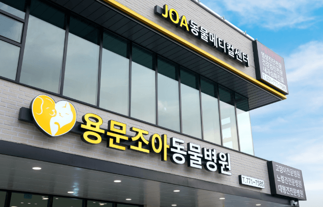 양평군 동물병원