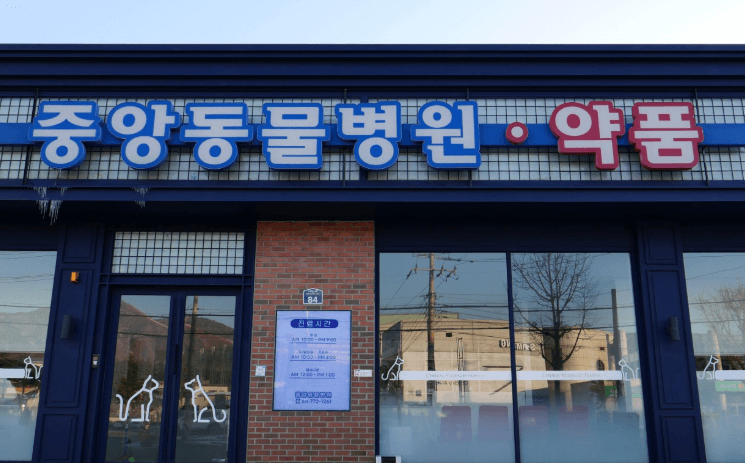 양평군 동물병원