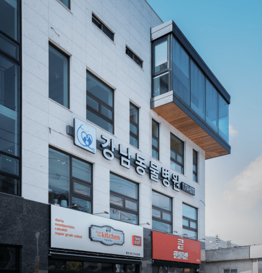 양평군 동물병원