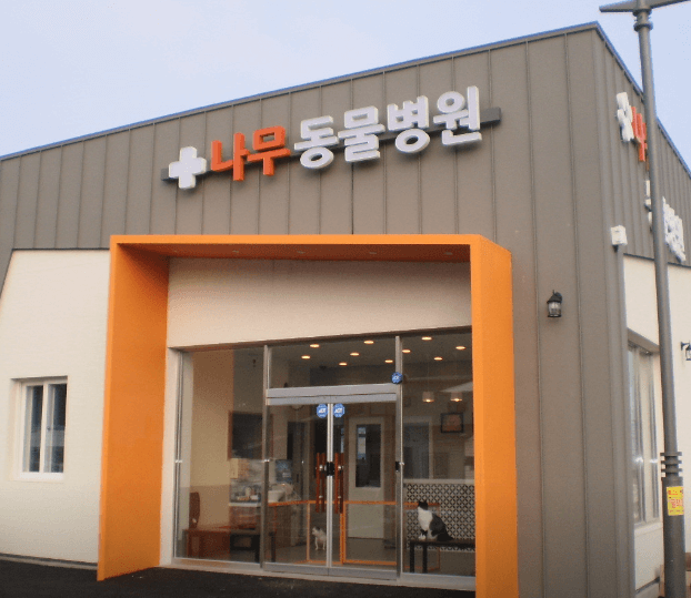 여주시 동물병원