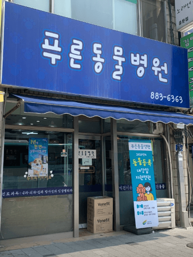 여주시 동물병원