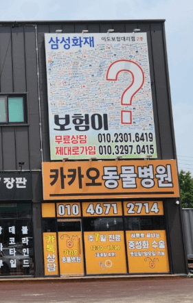 여주시 동물병원