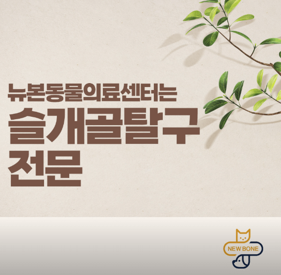 평택시 동물병원