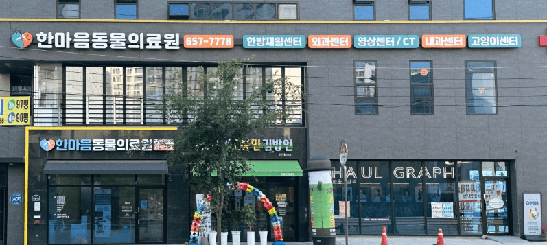 안성시 동물병원