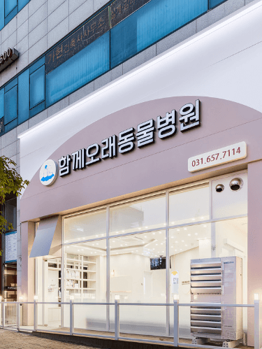 안성시 동물병원