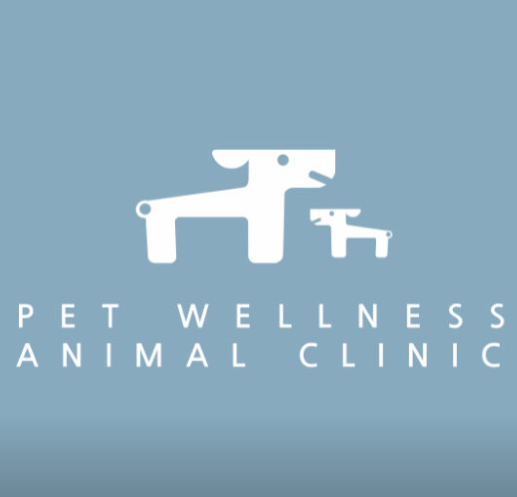 안성시 동물병원