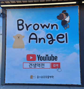 안성시 동물병원