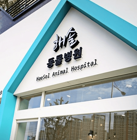 화성시 동물병원