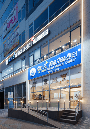 오산시 동물병원