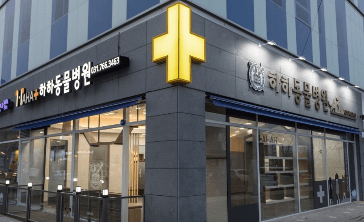 오산시 동물병원