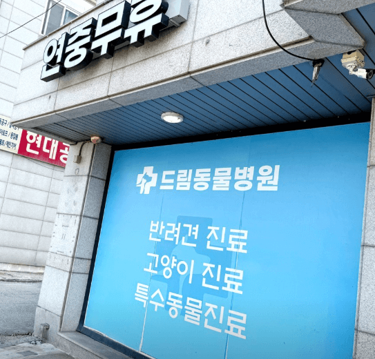 용인시 처인구 동물병원