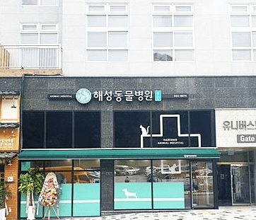 용인시 처인구 동물병원