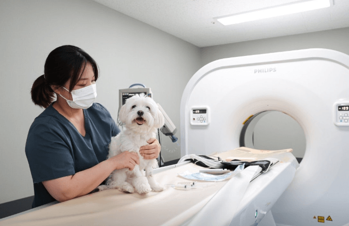 용인시 수지구 동물병원