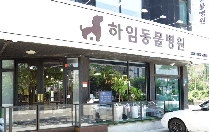 용인시 수지구 동물병원