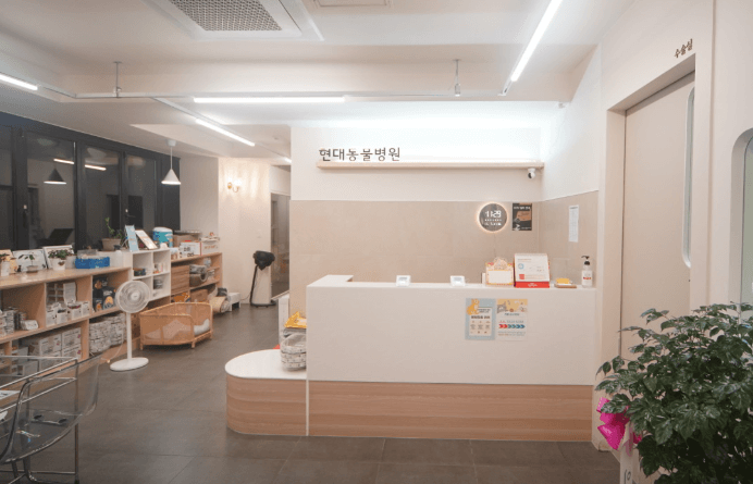 용인시 기흥구 동물병원