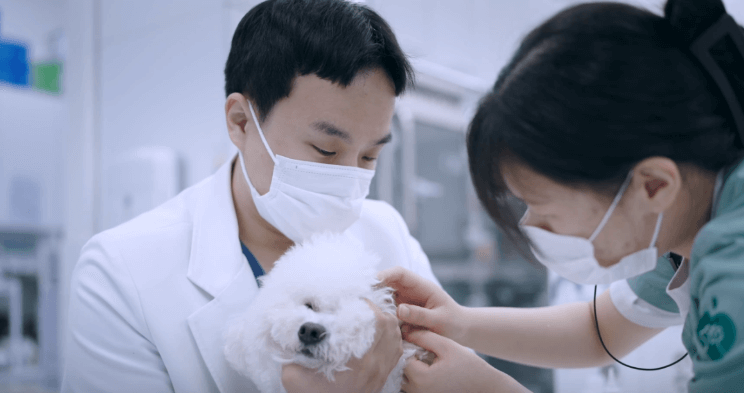 수원시 장안구 동물병원