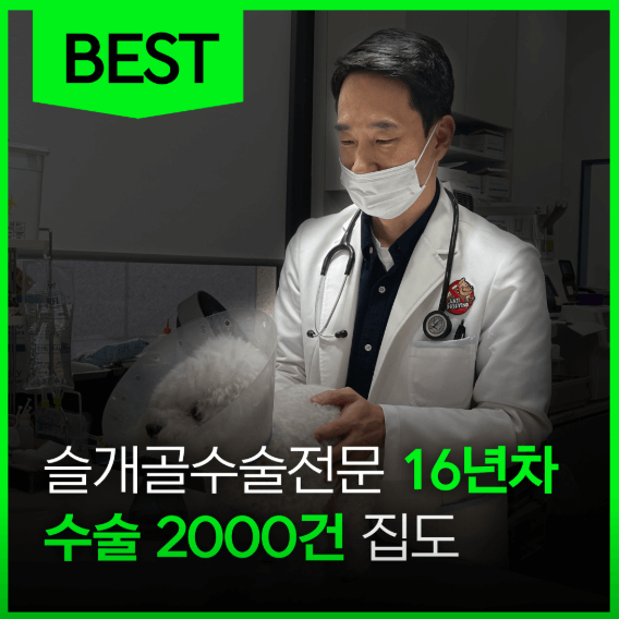 수원시 장안구 동물병원