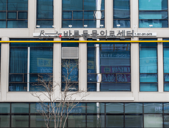 수원시 권선구 동물병원