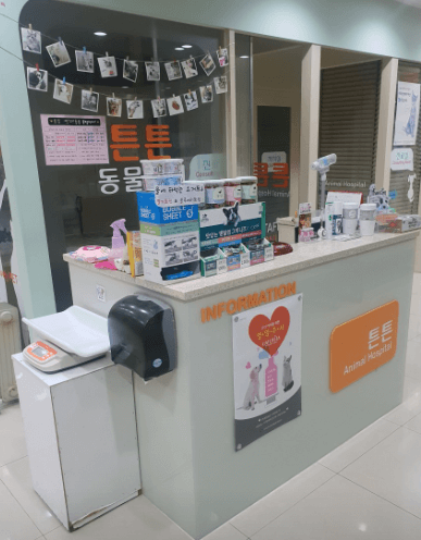 수원시 권선구 동물병원