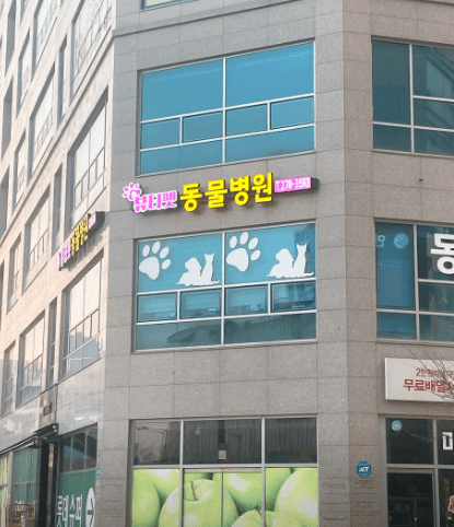 수원시 권선구 동물병원