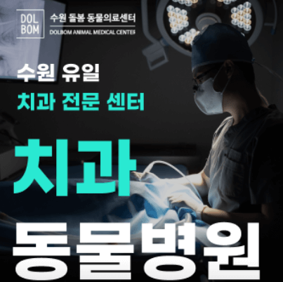 수원시 팔달구 동물병원