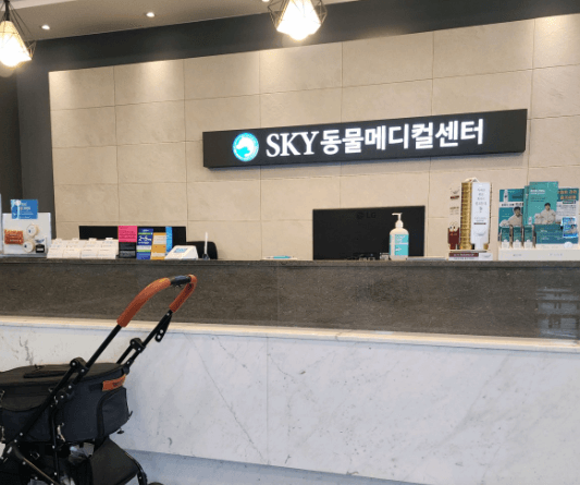 수원시 팔달구 동물병원