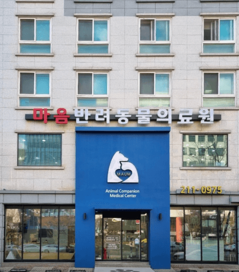 수원시 팔달구 동물병원