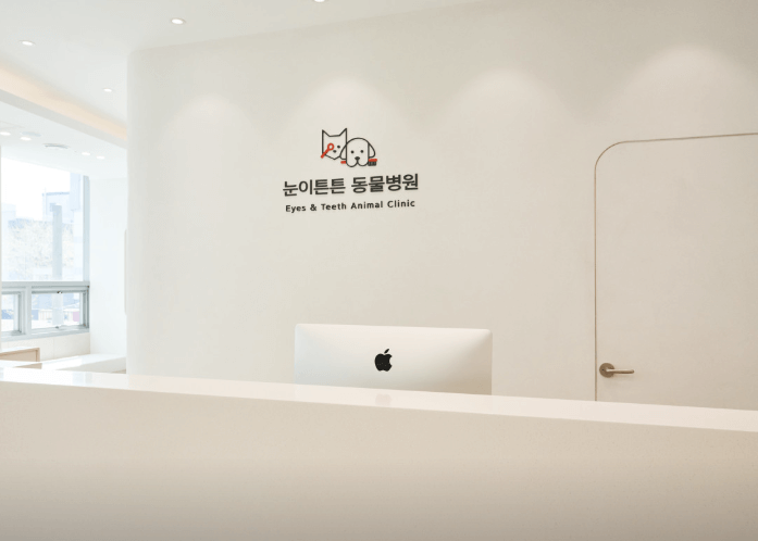 수원시 팔달구 동물병원