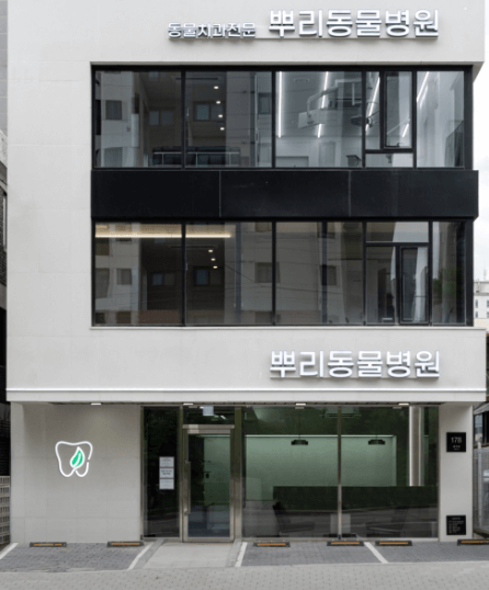 수원시 팔달구 동물병원