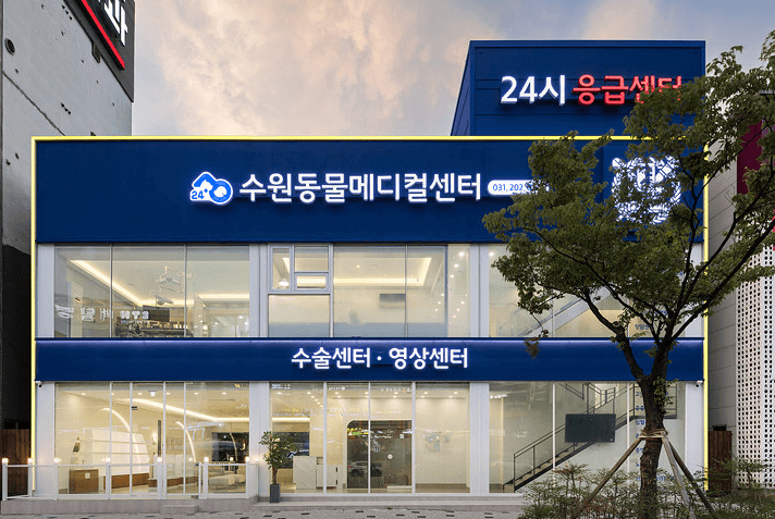 수원시 영통구 동물병원