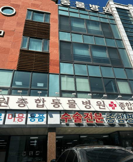 수원시 영통구 동물병원