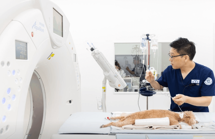 성남시 수정구 동물병원