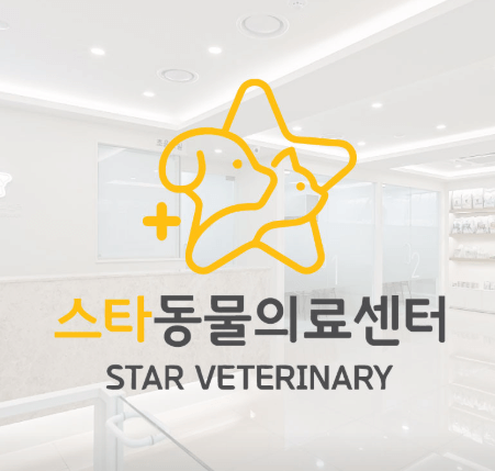 성남시 수정구 동물병원