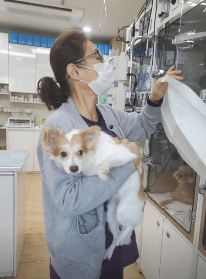 성남시 중원구 동물병원