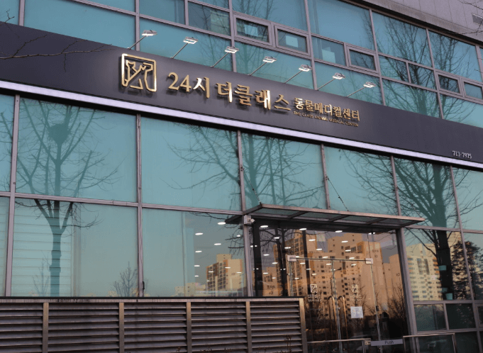 성남시 분당구 동물병원