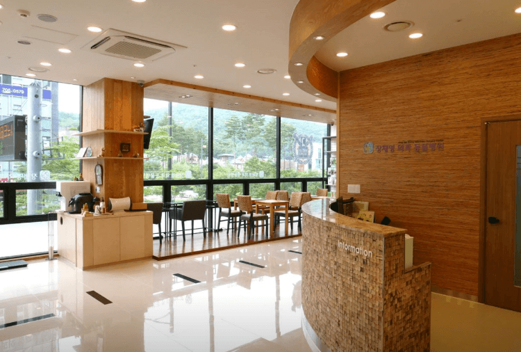 성남시 분당구 동물병원