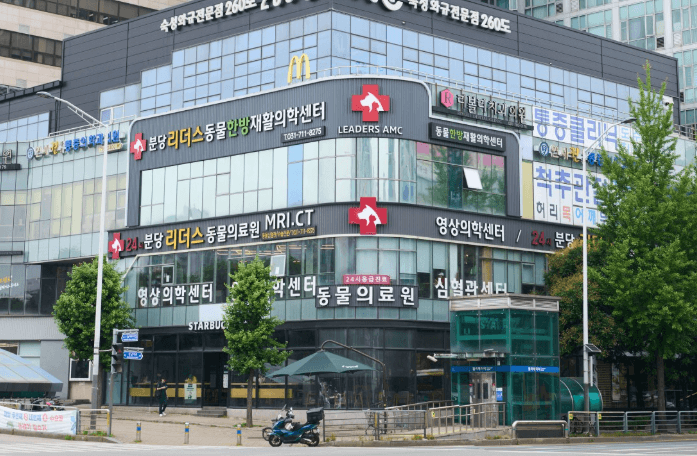 성남시 분당구 동물병원