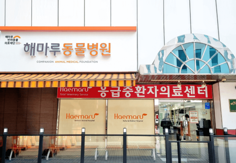 성남시 분당구 동물병원