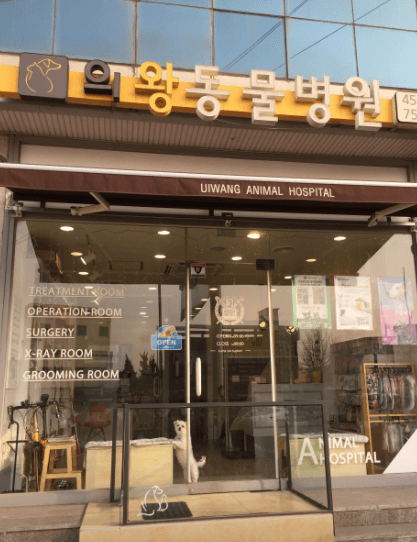 의왕시 동물병원