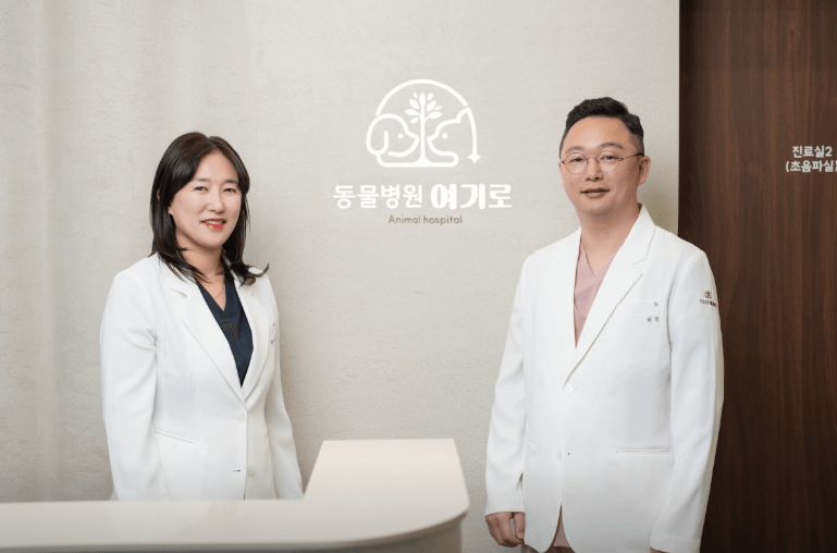 과천시 동물병원