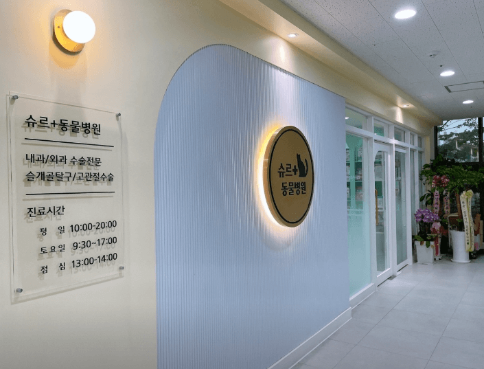 과천시 동물병원