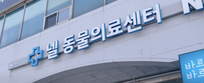 안양시 동안구 동물병원