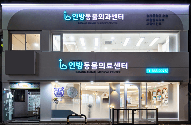 안양시 동안구 동물병원