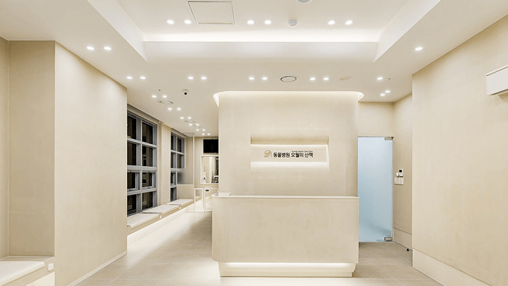 안양시 동안구 동물병원