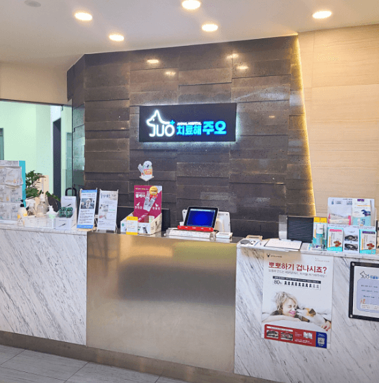 광명시 동물병원