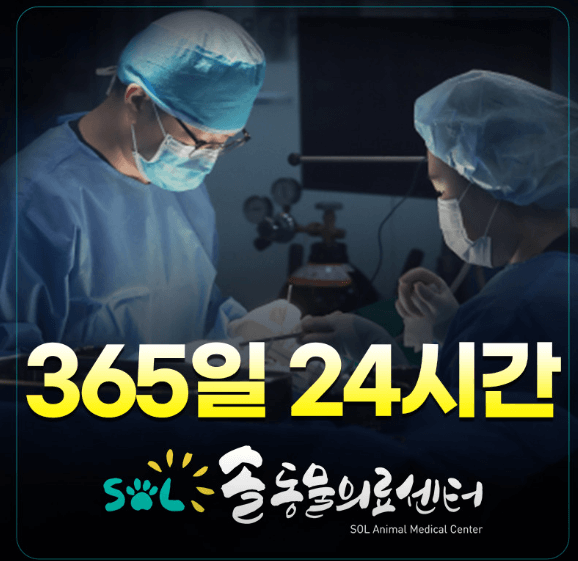 군포시 동물병원