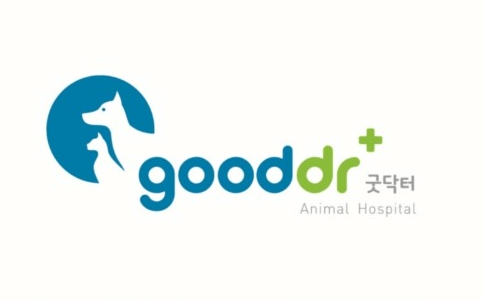 군포시 동물병원