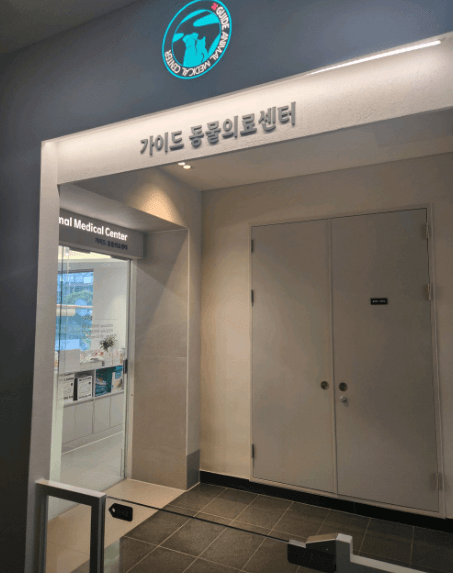 군포시 동물병원