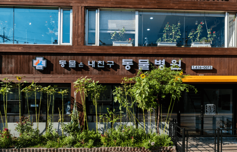 안산시 상록구 동물병원