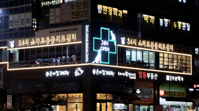 시흥시 동물병원